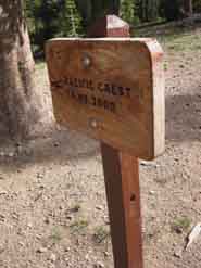 New Northbound PCT trailhead sign at Sonora Pass, 2016.